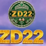 zd22 game